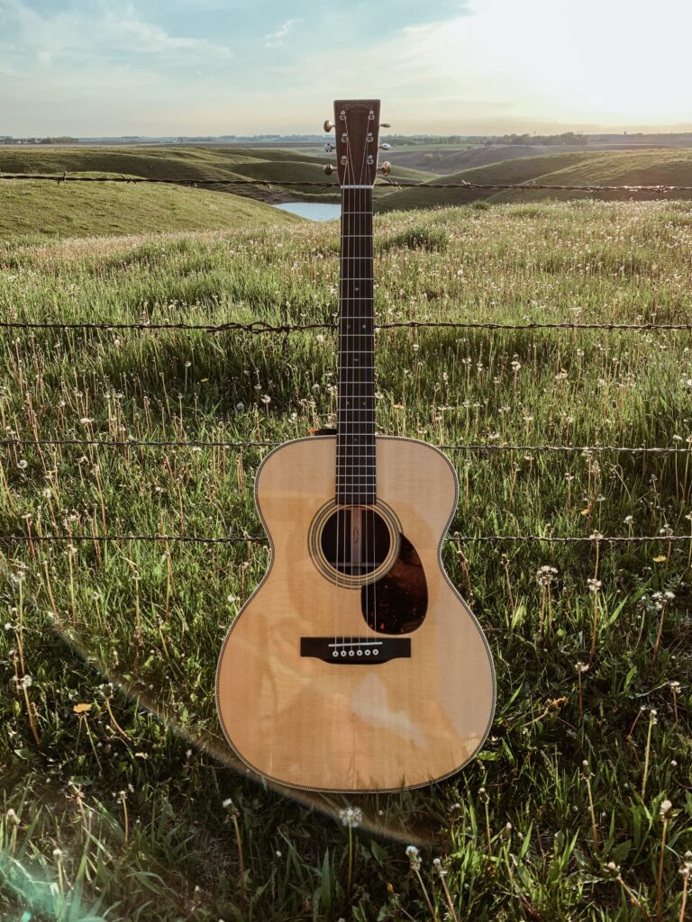 Les instruments emblématiques du blues : guitares, harmonicas et bien plus encore