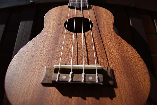 L’ukulélé : un instrument polyvalent dans différents genres musicaux